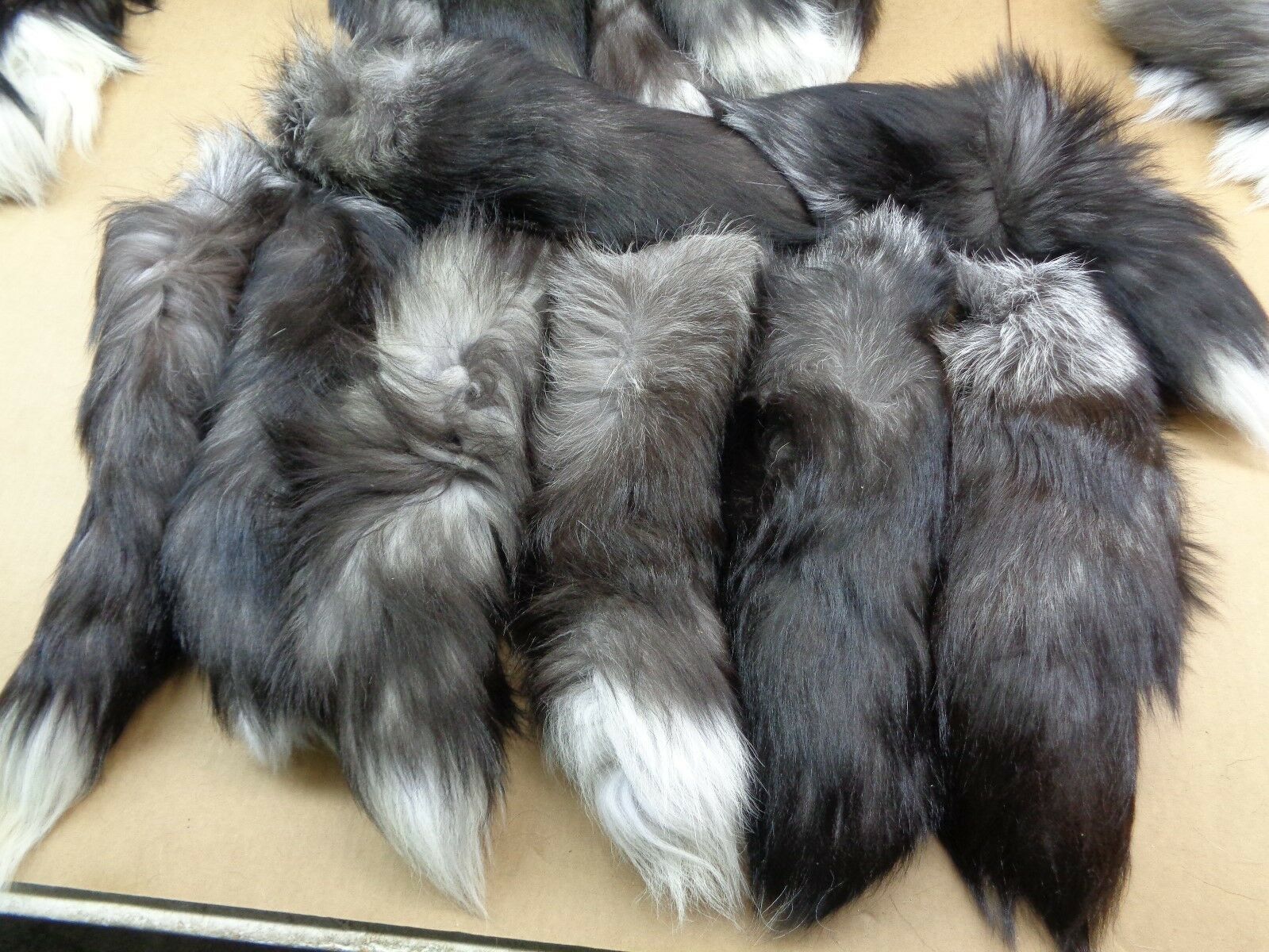 1 Xxl Tanned Silver Fox Tail/crafts/100% Usa Real Fur/purse/oakland Raider Tail