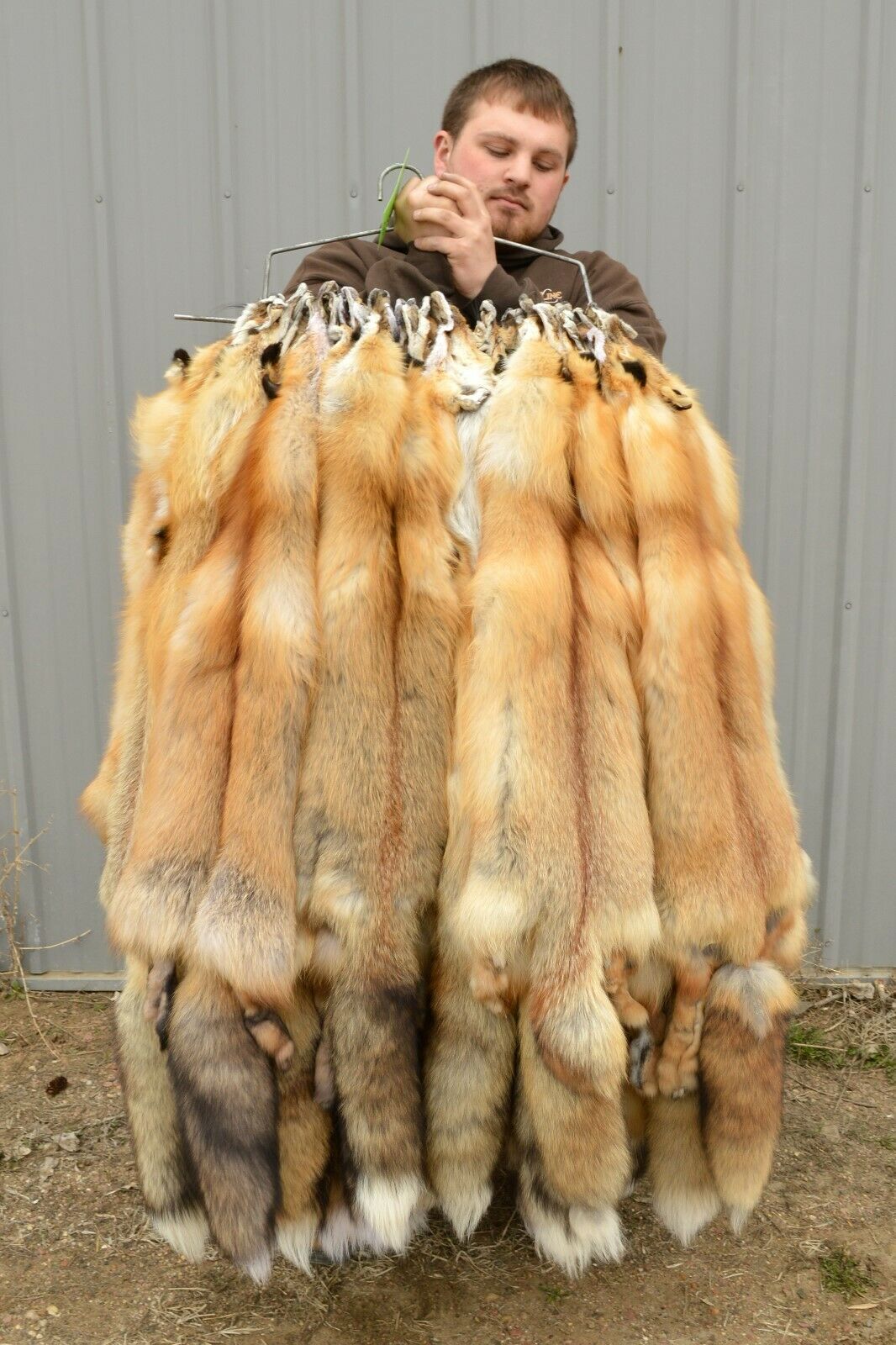 Tanned Red Fox  Winter “heavy Fur” Western Xl Pelt, Hide, Medium Grade (rfwhmg)