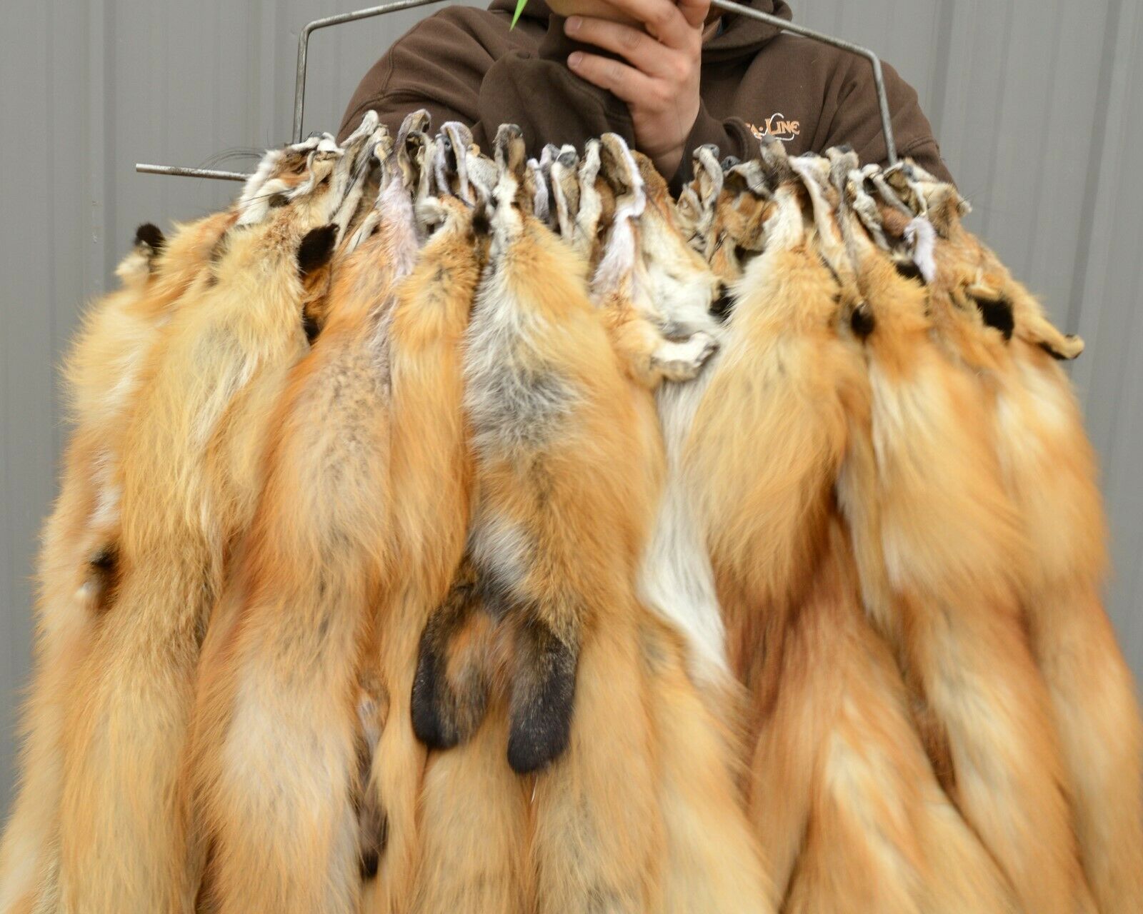 Tanned Red Fox  Winter “heavy Fur” Western Xl Pelt, Hide, Notail (rfwhnotail)