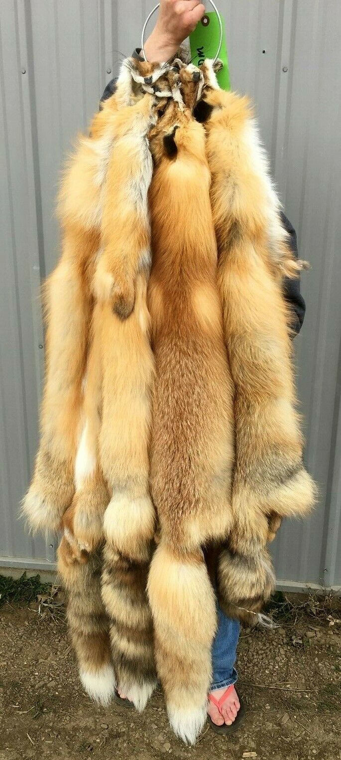 Tanned Red Fox  Winter “heavy Fur” Western Xl, Some Imperfections (rfwhimp)