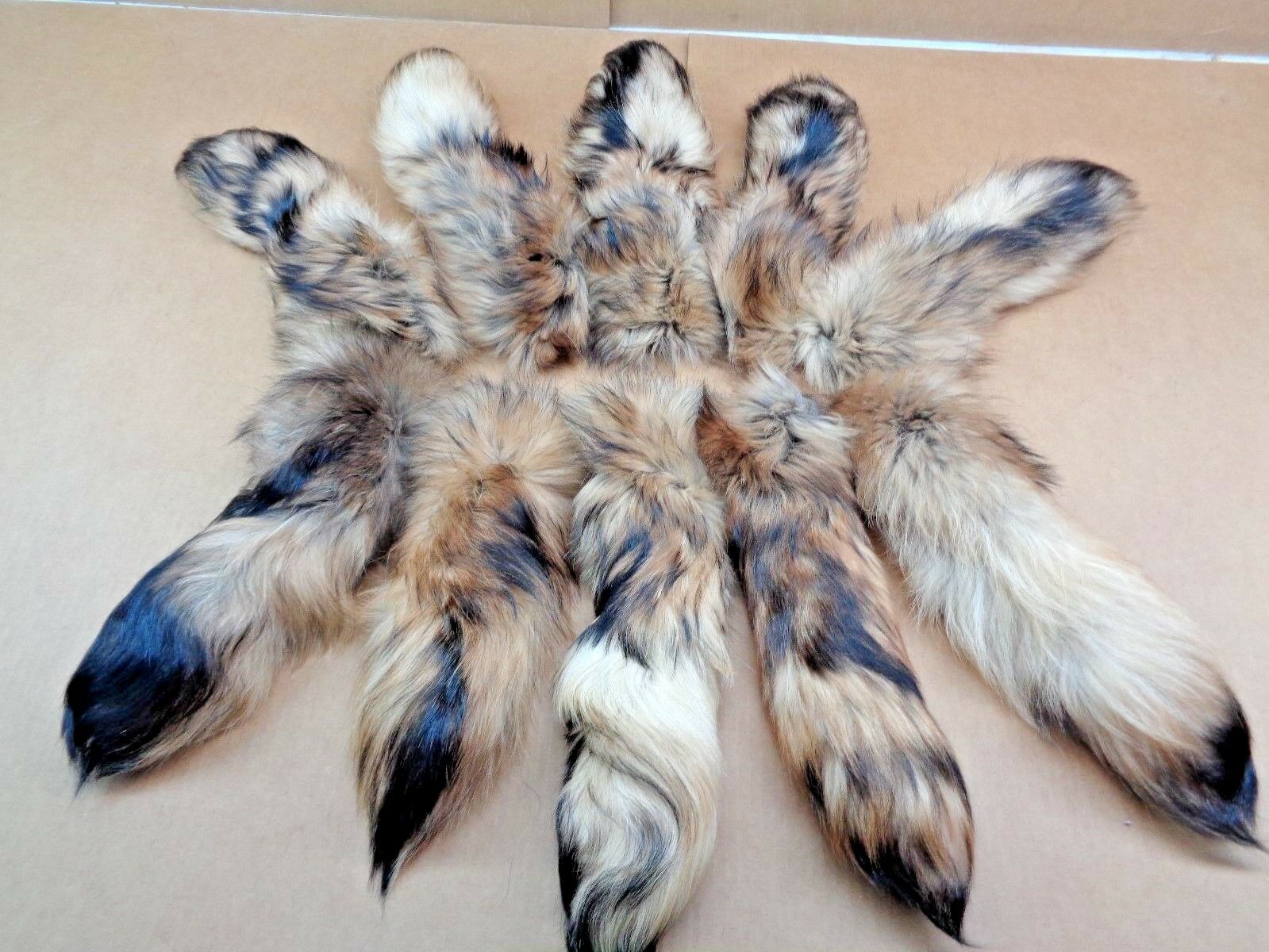 Rare #1 Quality Super Soft Xl Tanned Finn Raccoon Tail/crafts/coyote Tail